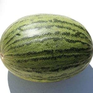 Melon vert bio poids moyen 1.6 kg