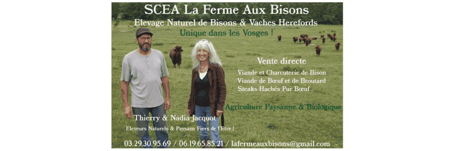 Bannière de SCEA La Ferme Aux Bisons