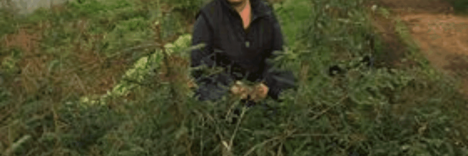 Bannière de PLANTES ET SABOTS