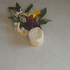 A Fromages de chèvre