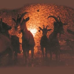 LA FROMAGERIE DU ROY #1