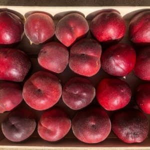 Pêche-nectarine mélange suivant récolte