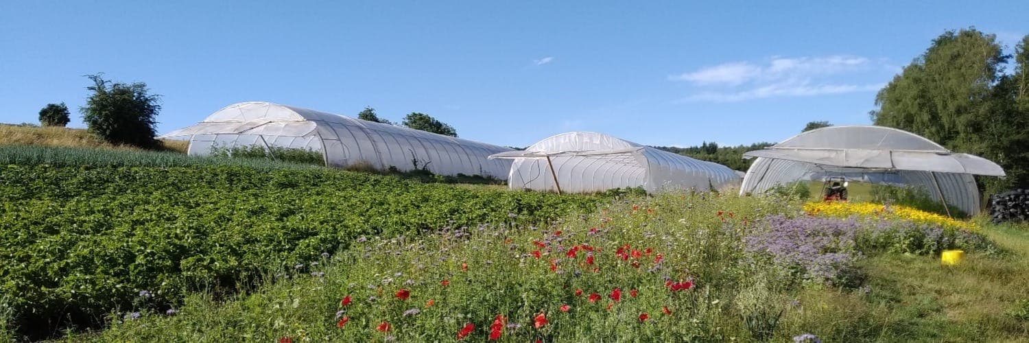 Bannière de La ferme d'Amerey