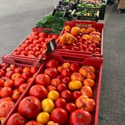 La Terre Ferme #3