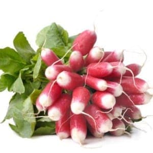 Radis rose