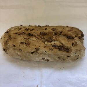 pain  bâtard aux noix de 1kg