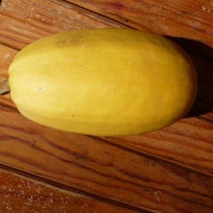 Courge Spaghetti