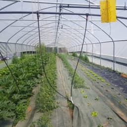 La Grange #5