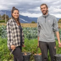 Le potager de Loliva #3