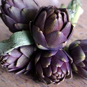Artichaut violet bio
