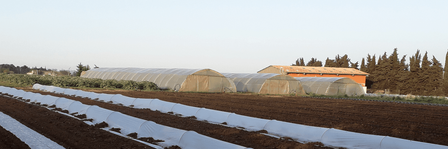 Bannière de le jardin de Cathy