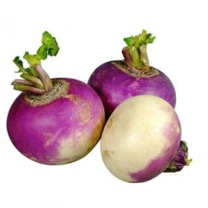 Navet violet