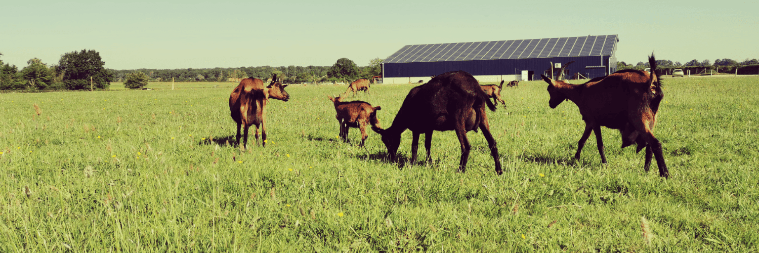 Bannière de La ferme de pauline