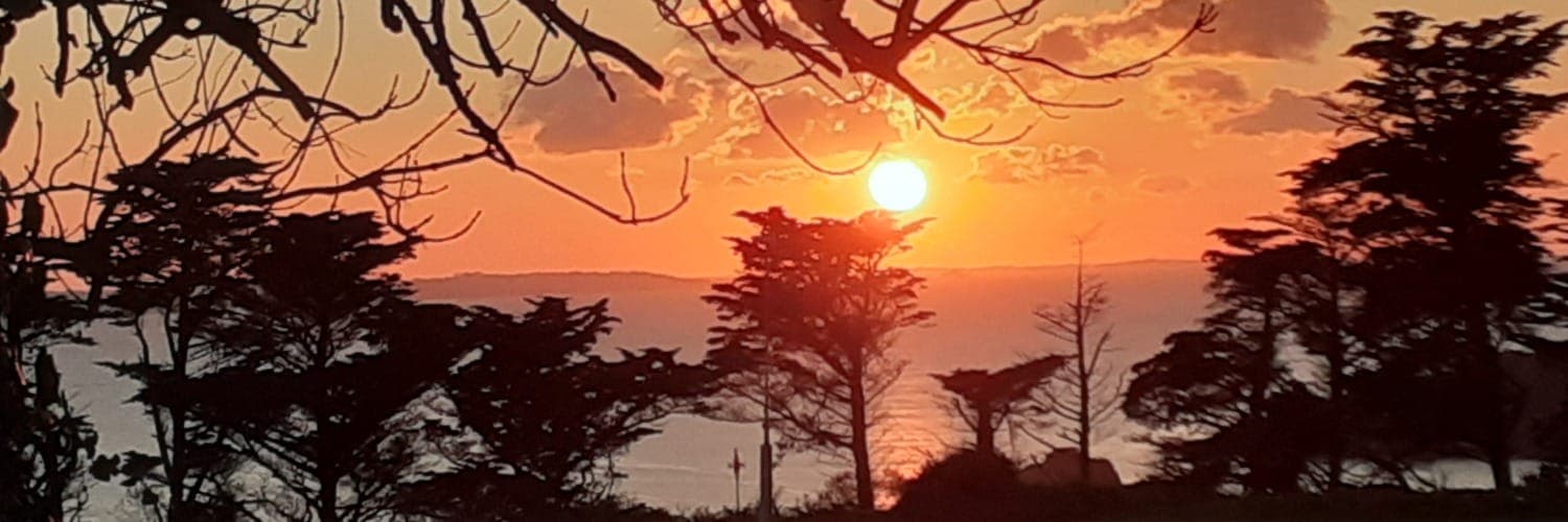 Bannière de La fabrique du potager