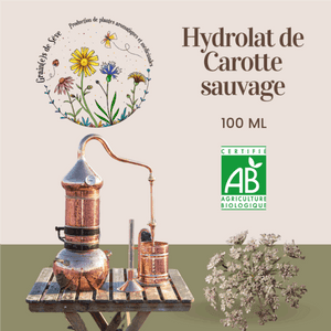 Hydrolat de Carotte Sauvage