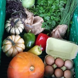 Logo de Cagette Maison du Marais