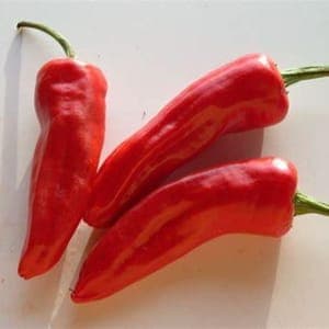 *Piment d'Espelette