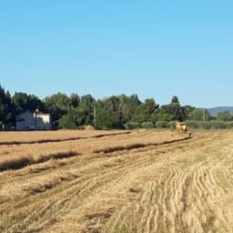 La Gloirette du Talmelier #4