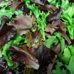 Mesclun