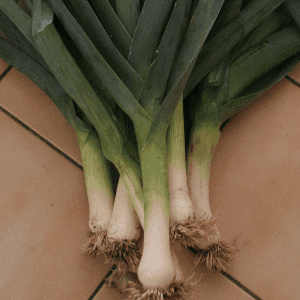 Poireaux