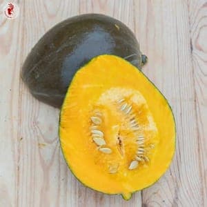 Courge olive