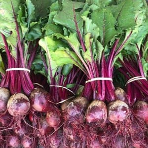 Betteraves rouges en botte
