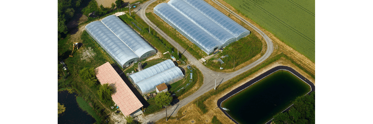 Bannière de Spiruline de Haute Saintonge