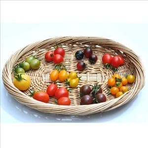 Tomate cerise