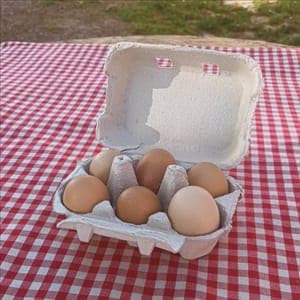 Œufs frais