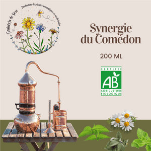 Synergie du Comédon