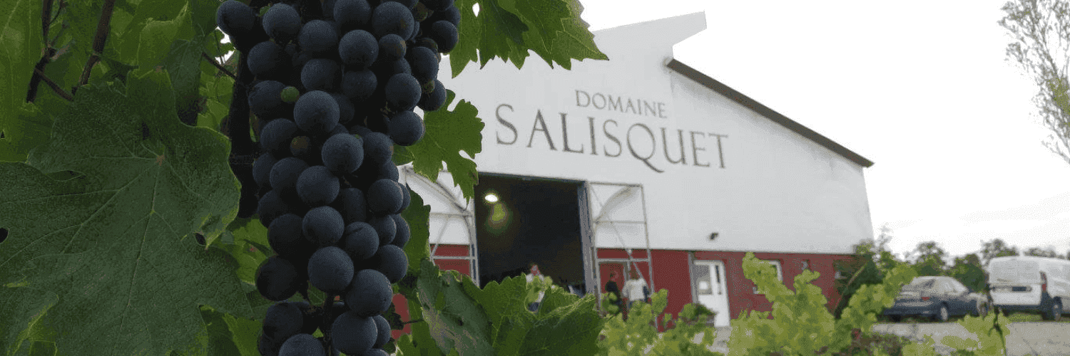 Bannière de Domaine Salisquet