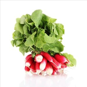 Radis bio