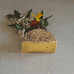 Fromage - Tomette de vache affiné