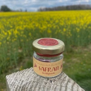 Safran en stigmates (Brut)