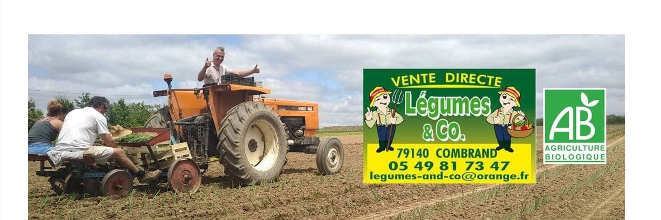 Bannière de Légumes and Co