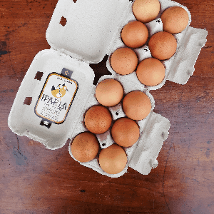 OEUFS plein air / ARRAULTZEA