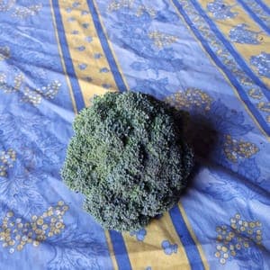 Brocoli