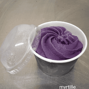 Glace au lait de chèvre Myrtille