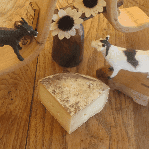 Tomme aux 2Laits