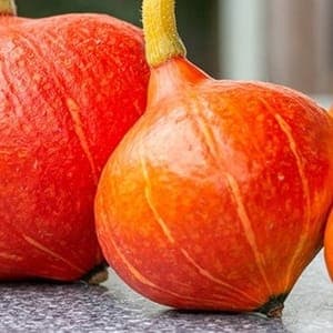 courge