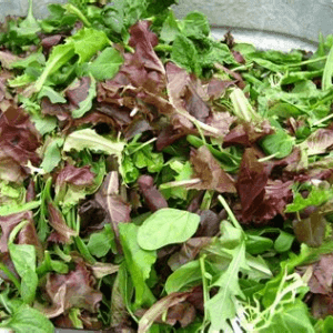 Mesclun