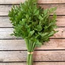 Bouquet de Persil