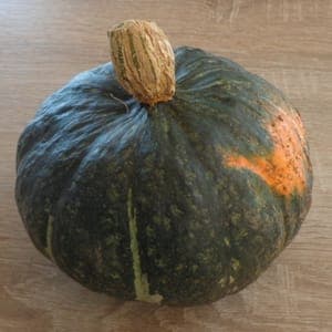 Courge Kabocha