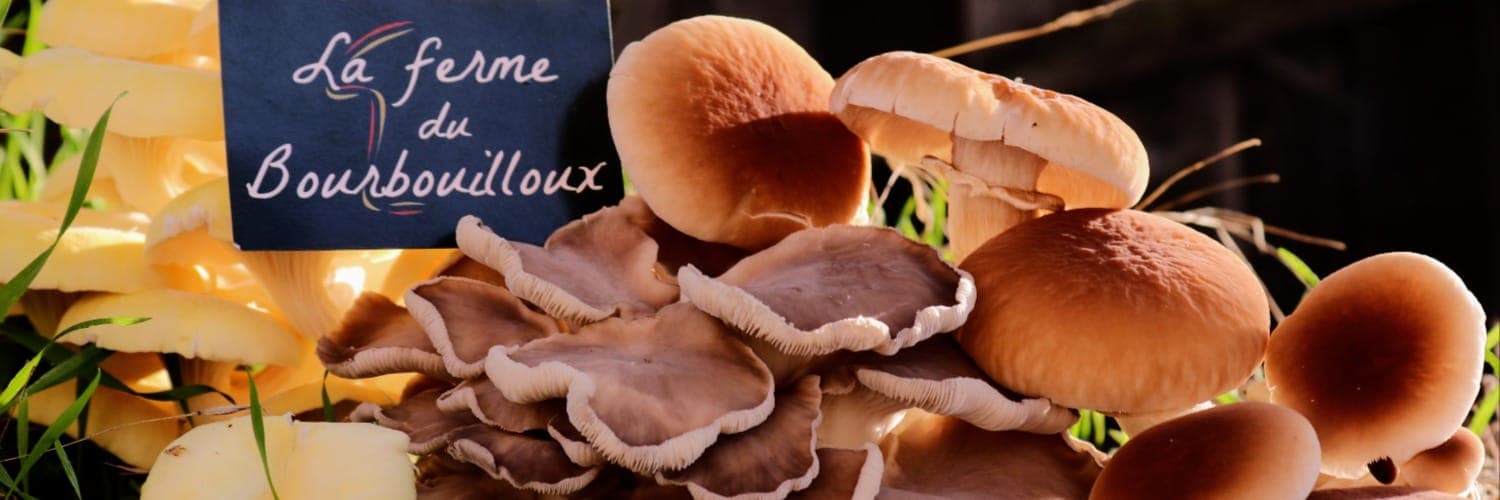 Bannière de La Ferme du Bourbouilloux