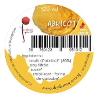 SORBET PLEIN FRUIT ABRICOT LOT DE 2X140ML