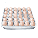 Oeufs Bio - Alvéole