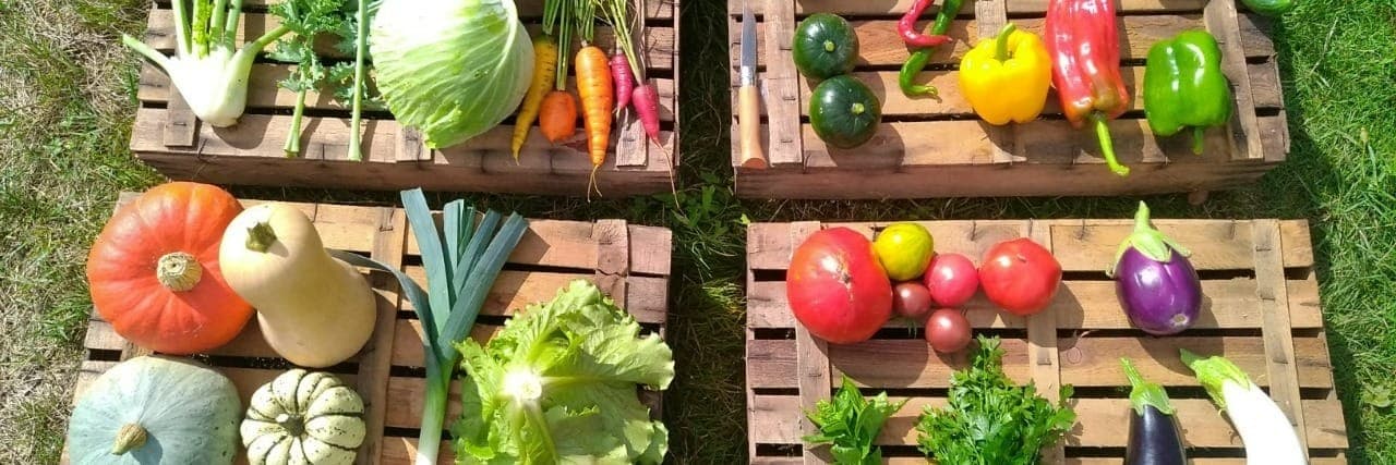 Bannière de La Régalade