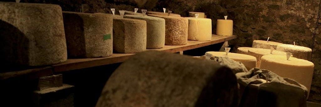 Bannière de LA FERME DU VENTOUX