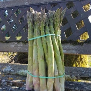 asperges vertes bottes