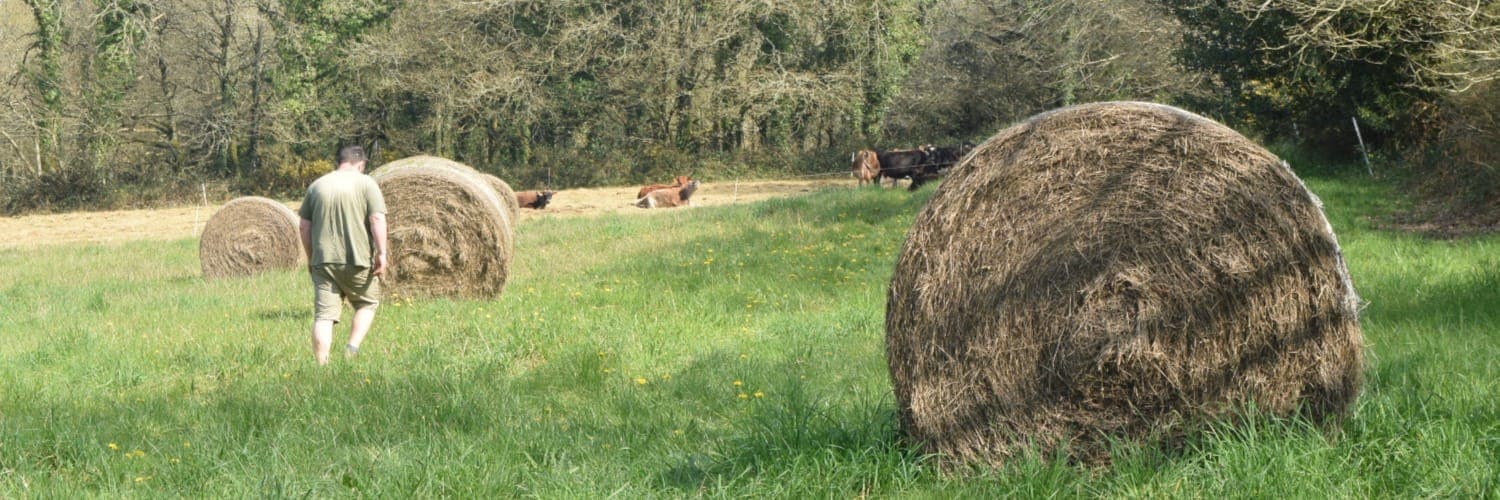 Bannière de Le fournil de Charlène
